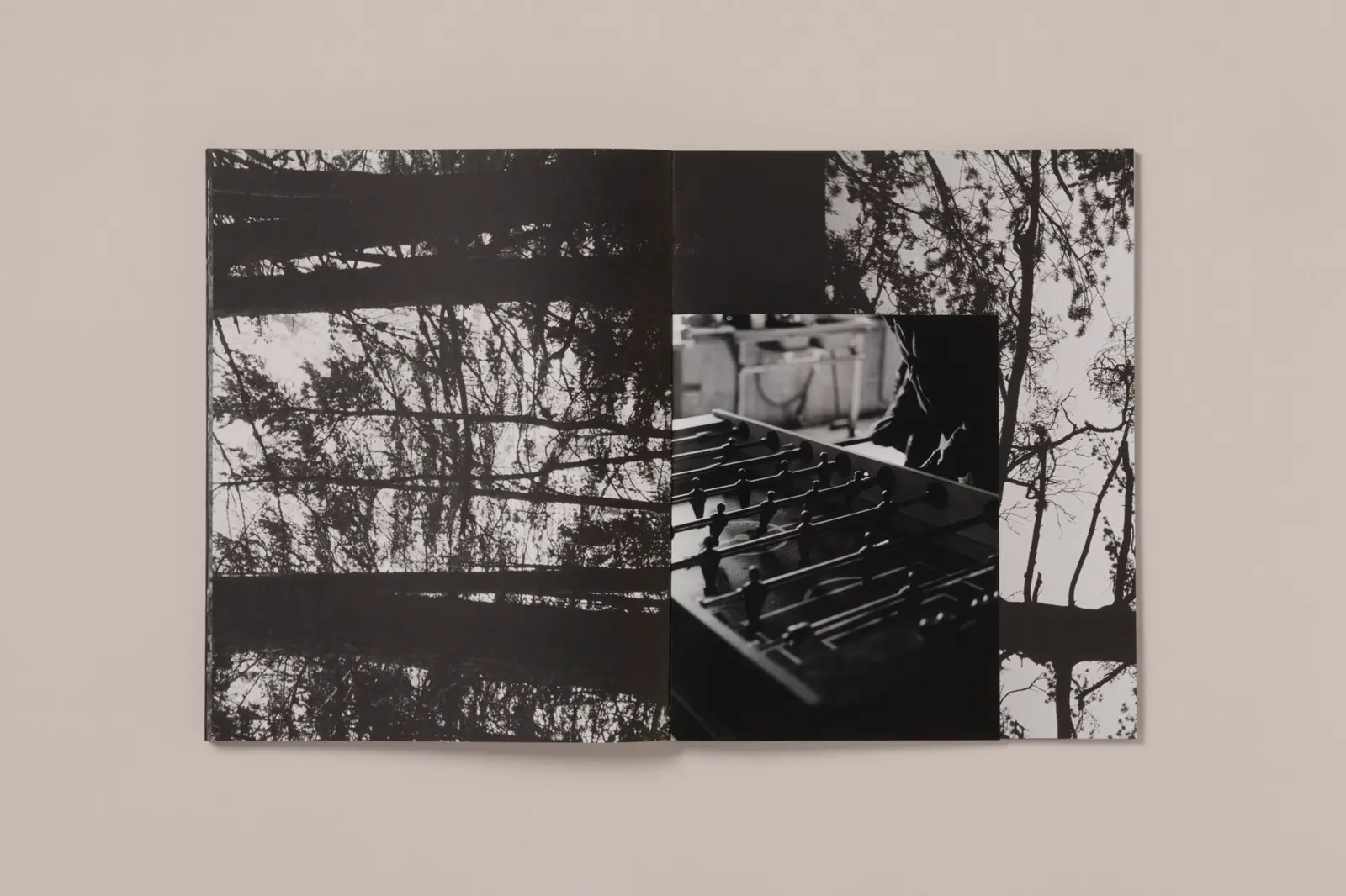 La Ronde des hirondelles image 3