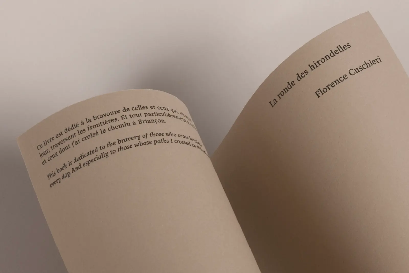 La Ronde des hirondelles image 4