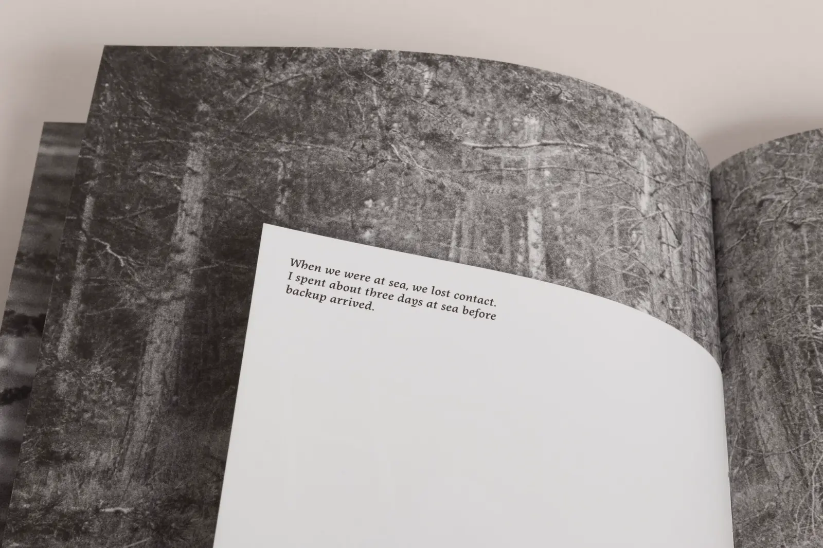 La Ronde des hirondelles image 6