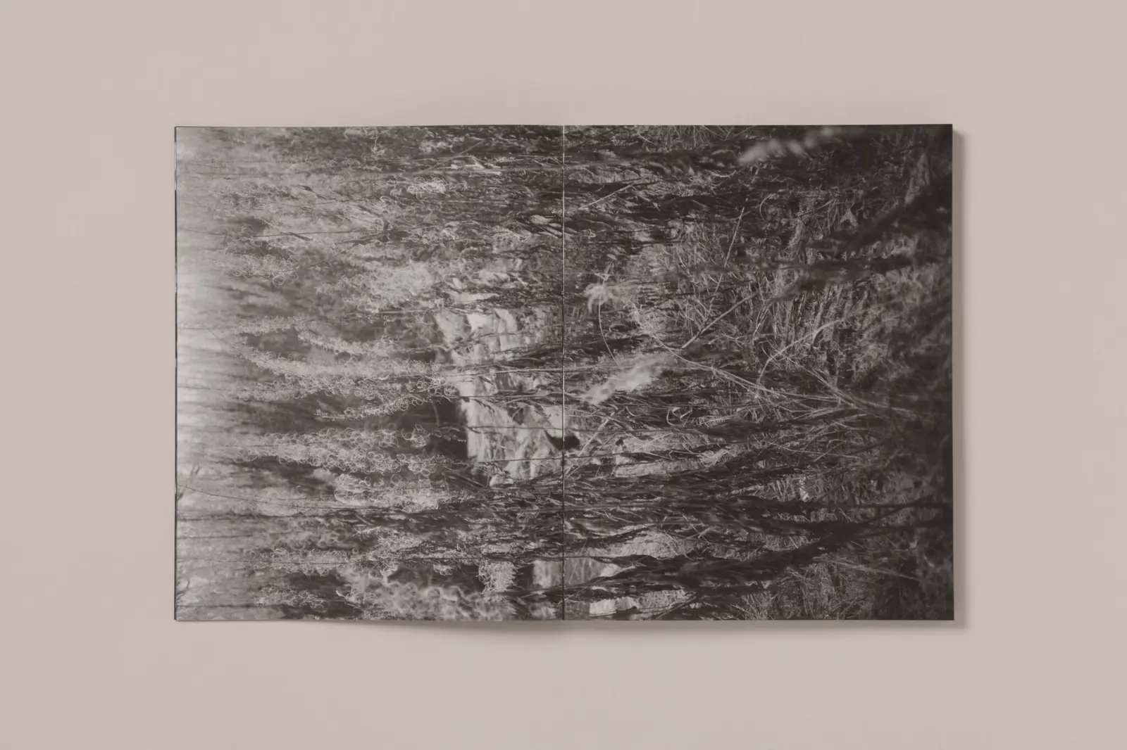 La Ronde des hirondelles image 7