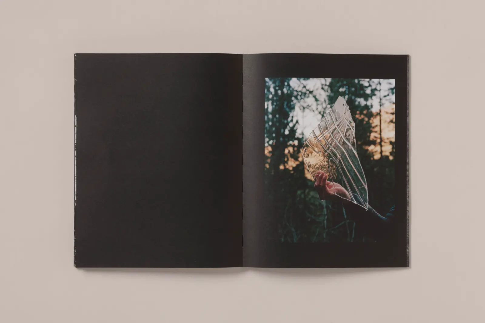 La Ronde des hirondelles image 8