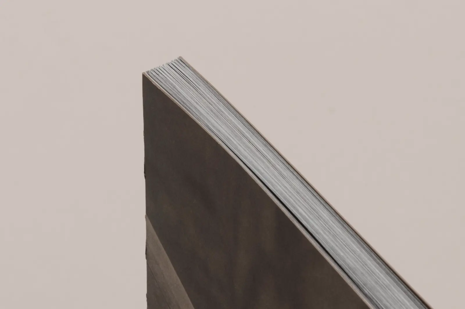 La Ronde des hirondelles image 9