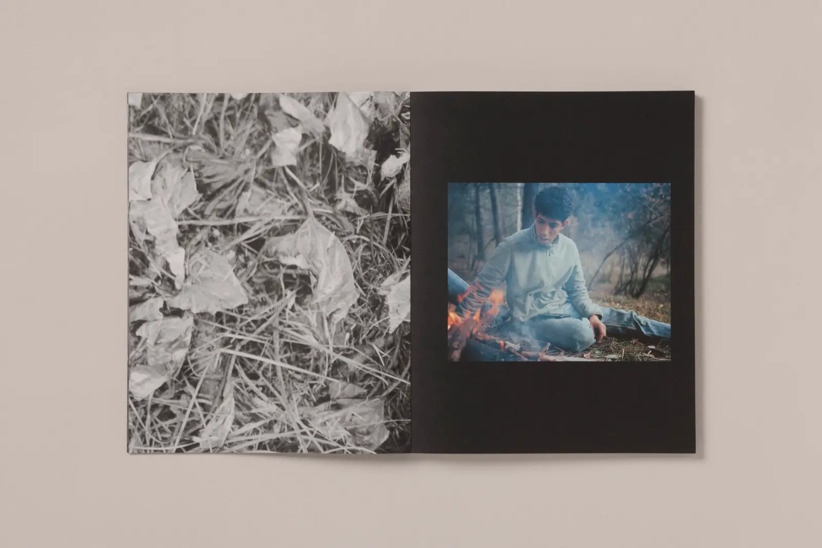 La Ronde des hirondelles image 10