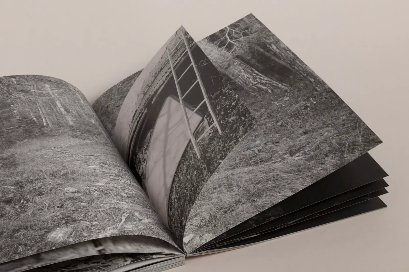 La Ronde des hirondelles image 11