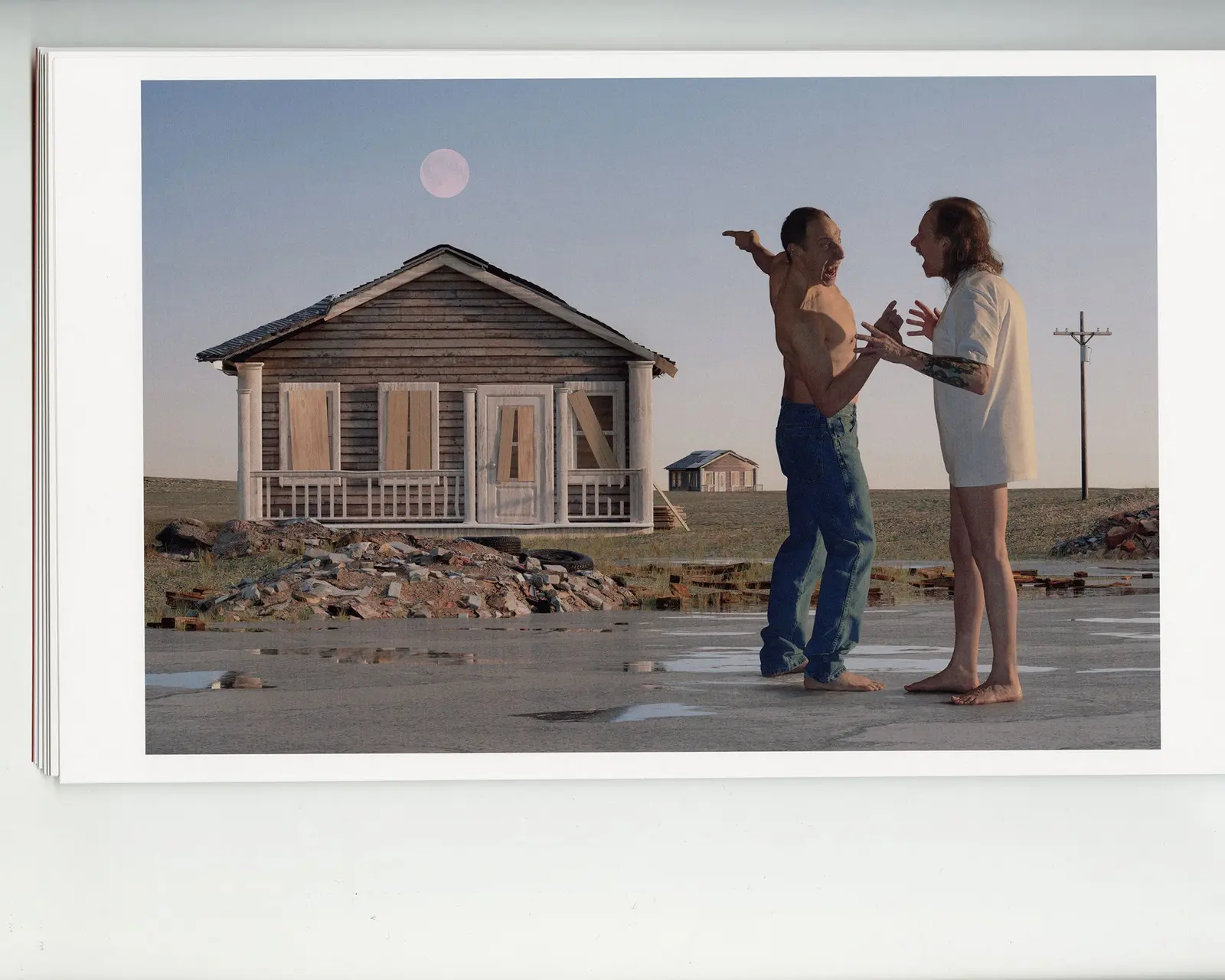 The Last American Pastoral image 2