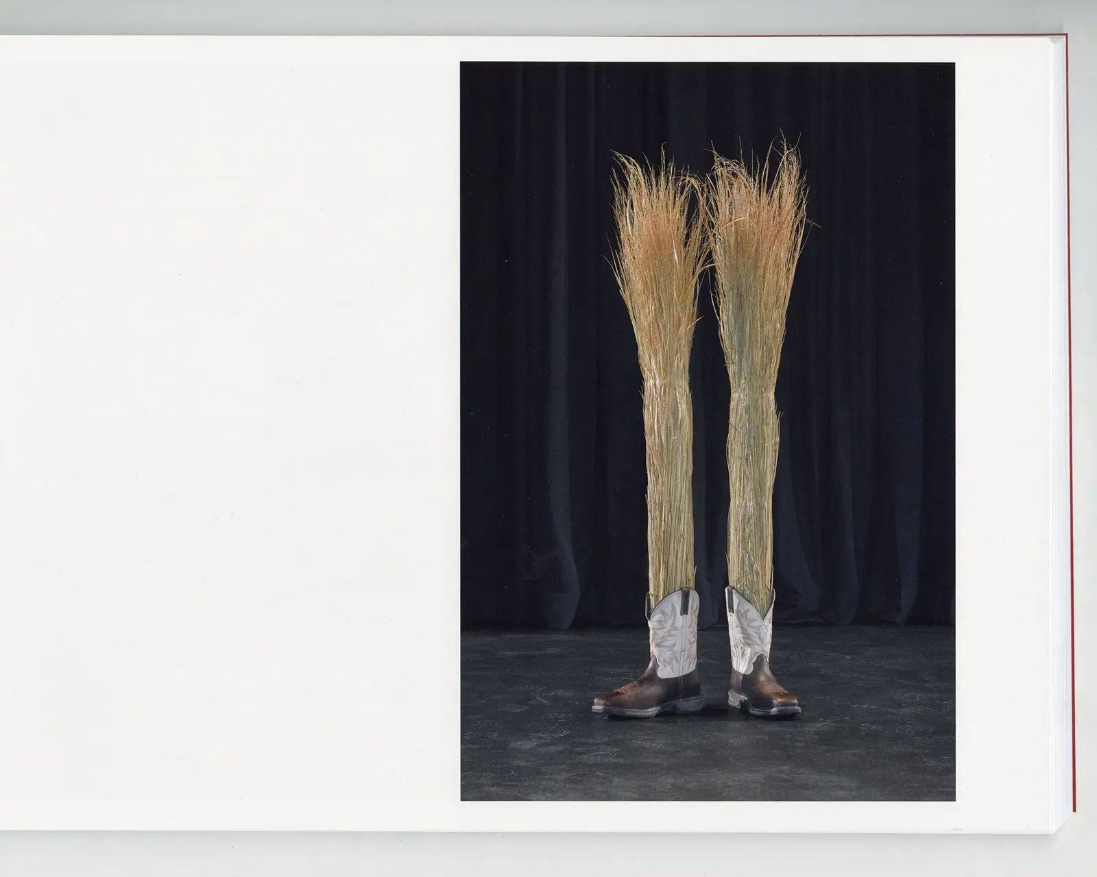 The Last American Pastoral image 3