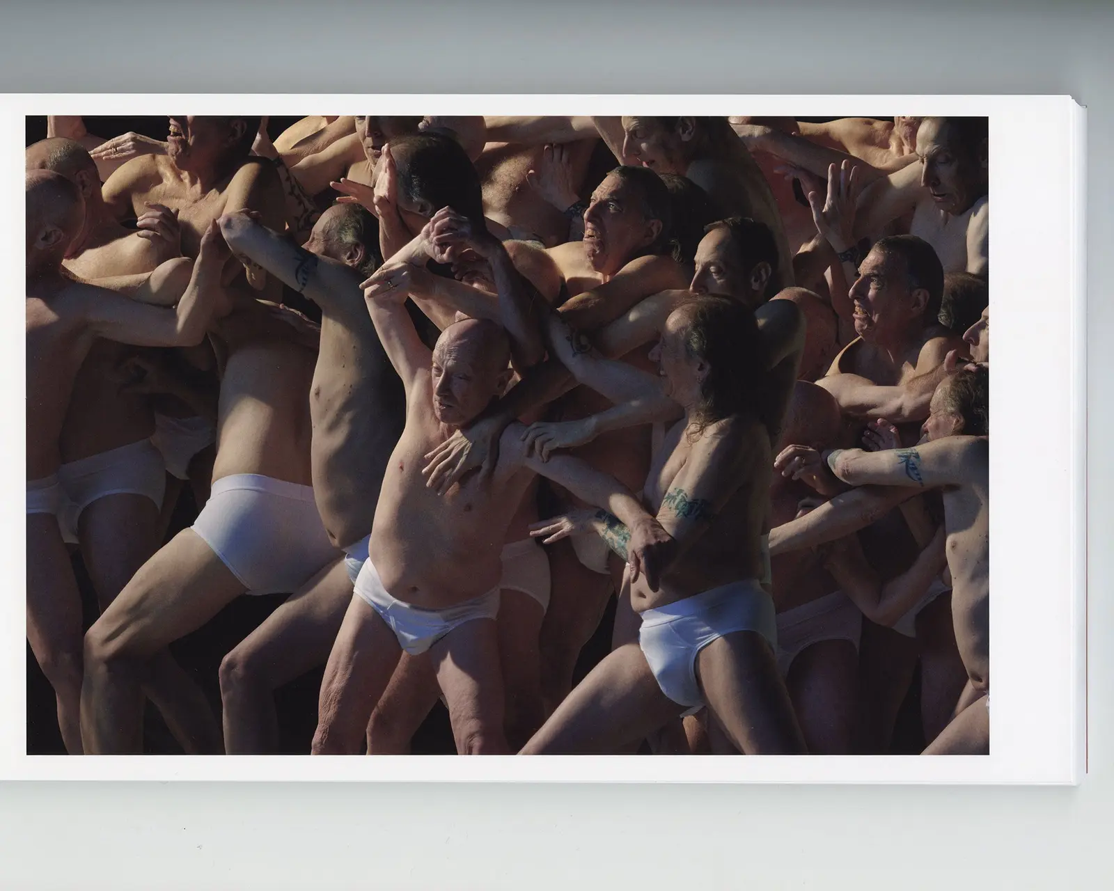 The Last American Pastoral image 4