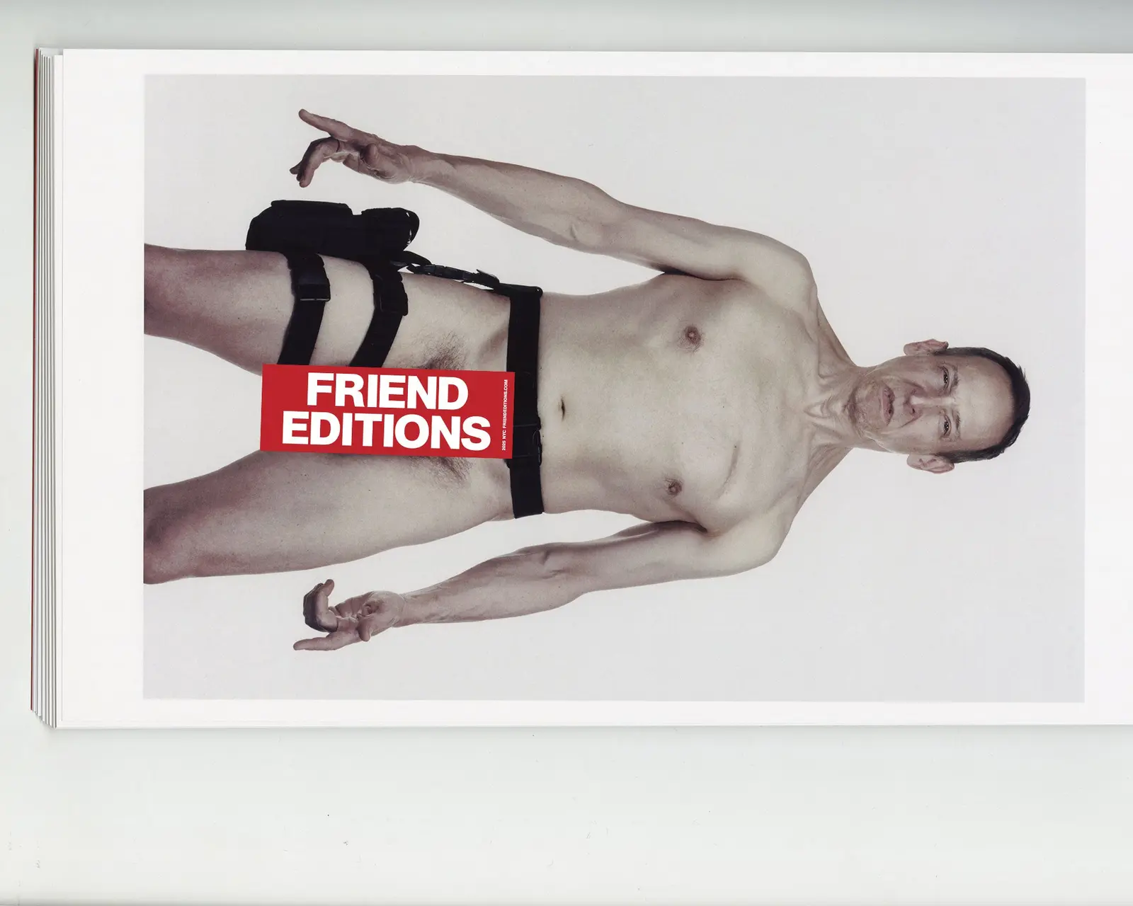 The Last American Pastoral image 5