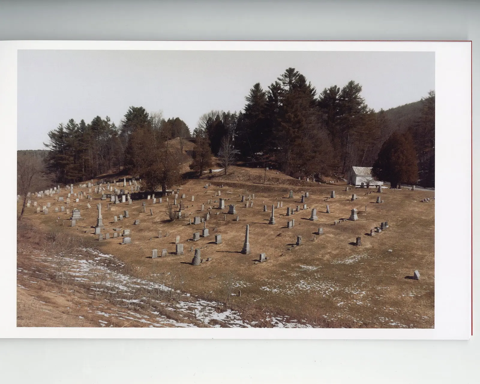 The Last American Pastoral image 6