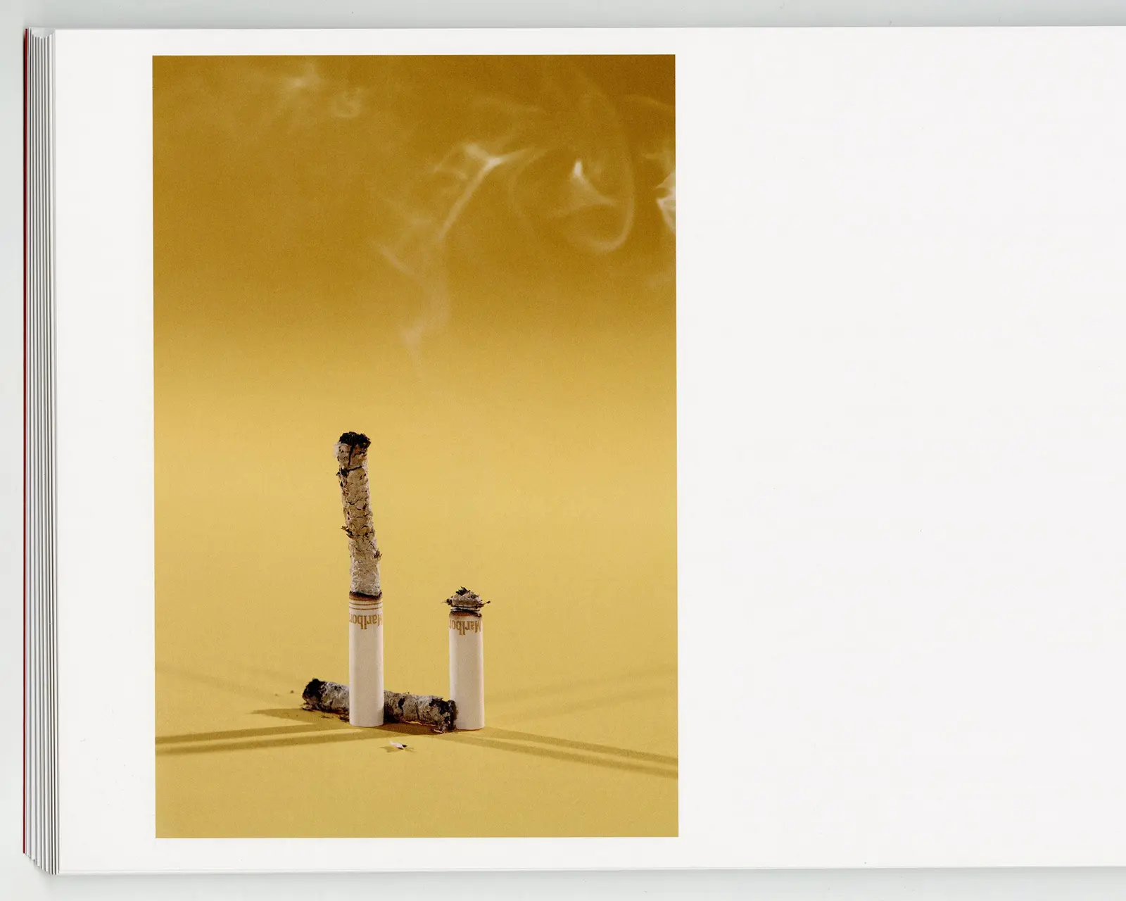 The Last American Pastoral image 7