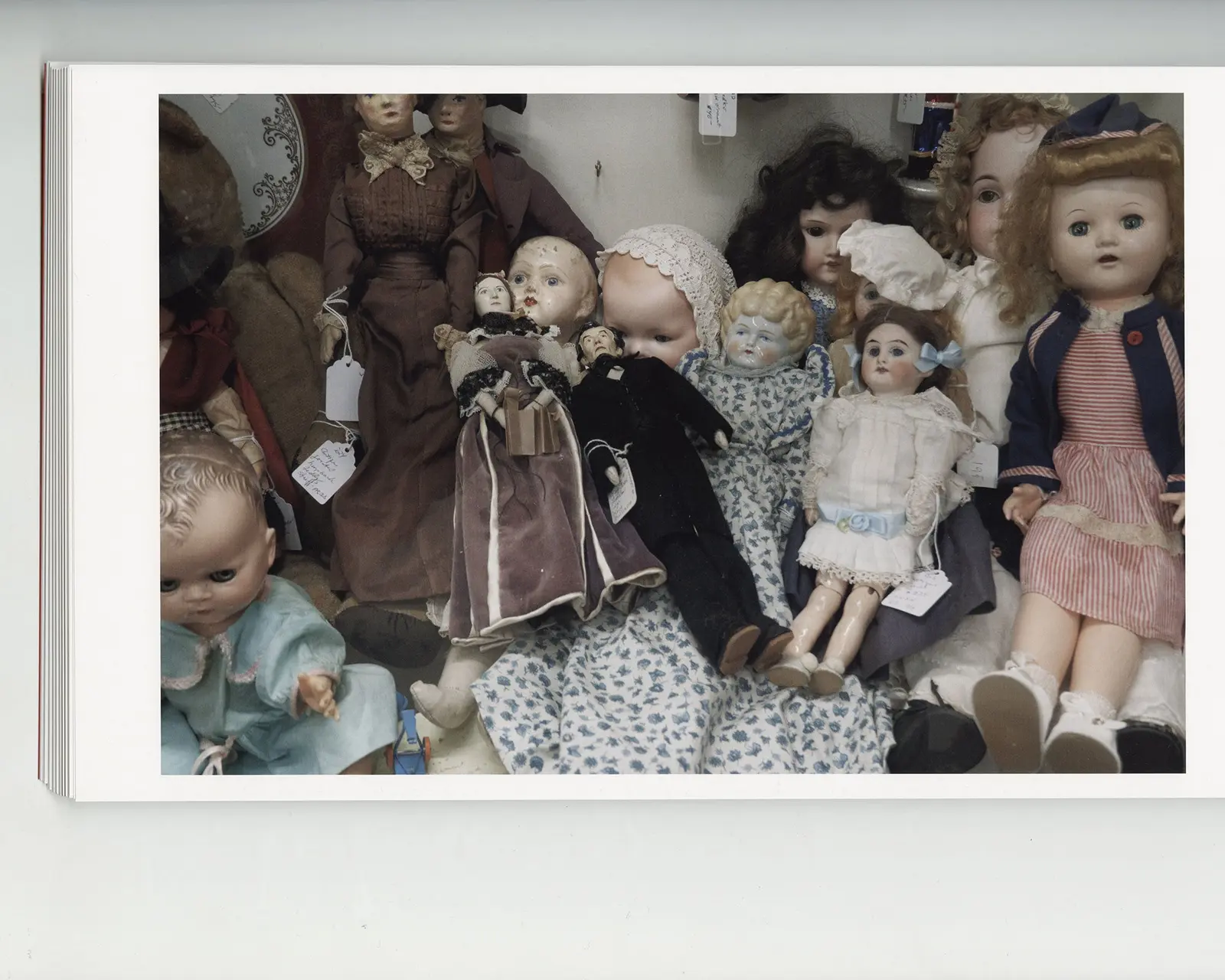 The Last American Pastoral image 9