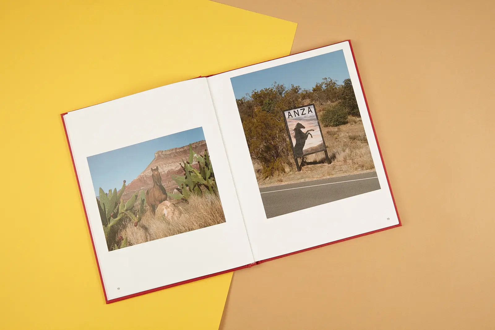 Shaped By The West image 2