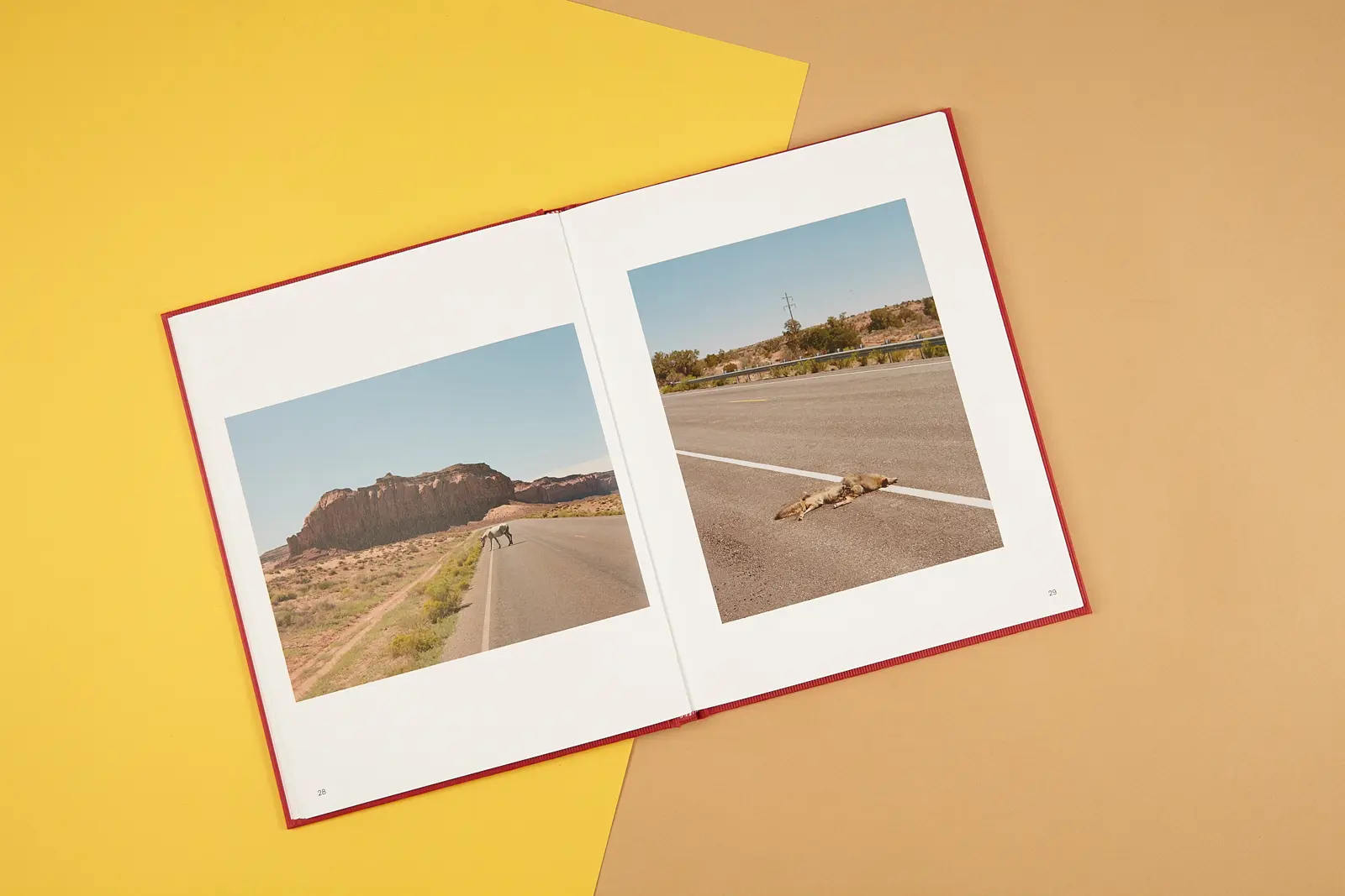 Shaped By The West image 7