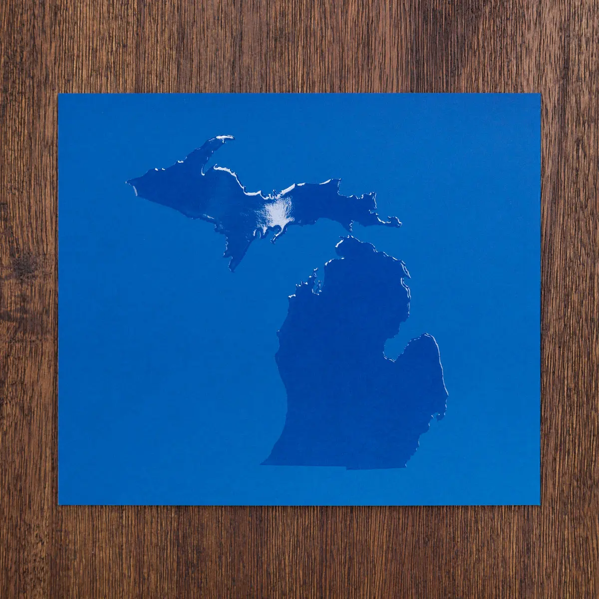 Instant Winter Michigan image 2