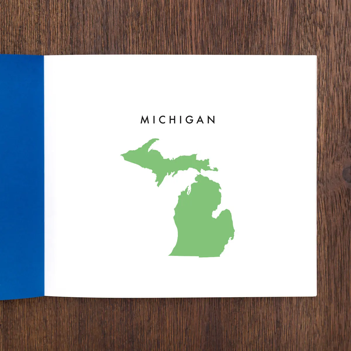 Instant Winter Michigan image 3