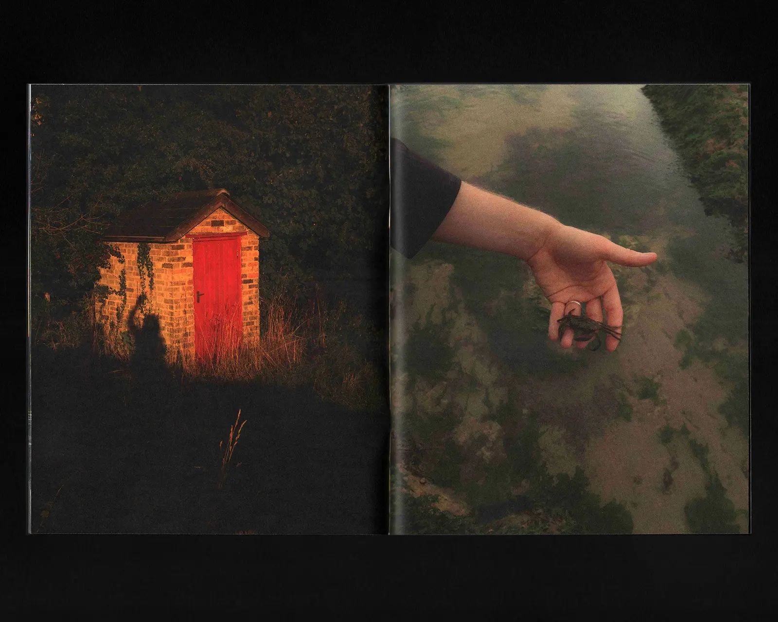 Surrender Gasoline image 4