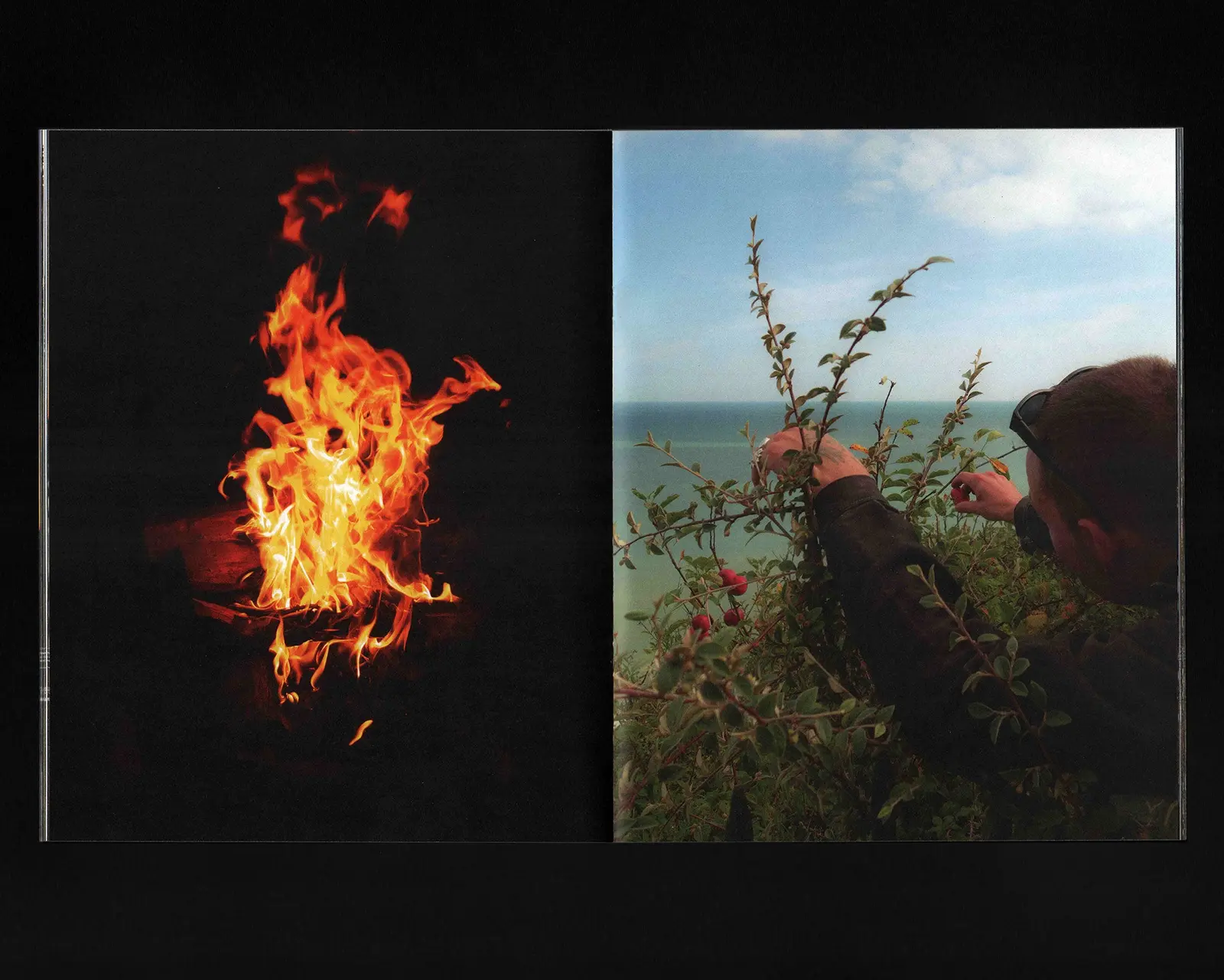 Surrender Gasoline image 6