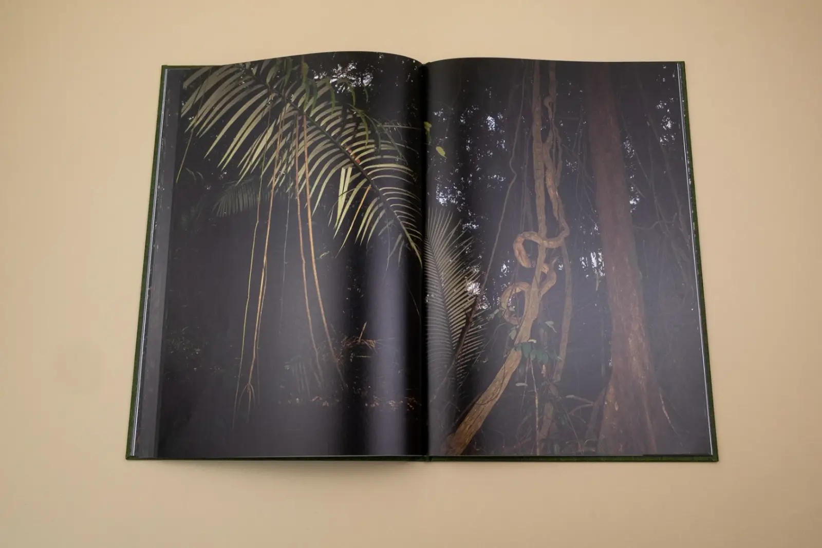 Fourteen Leaves and a Cup of Water image 3