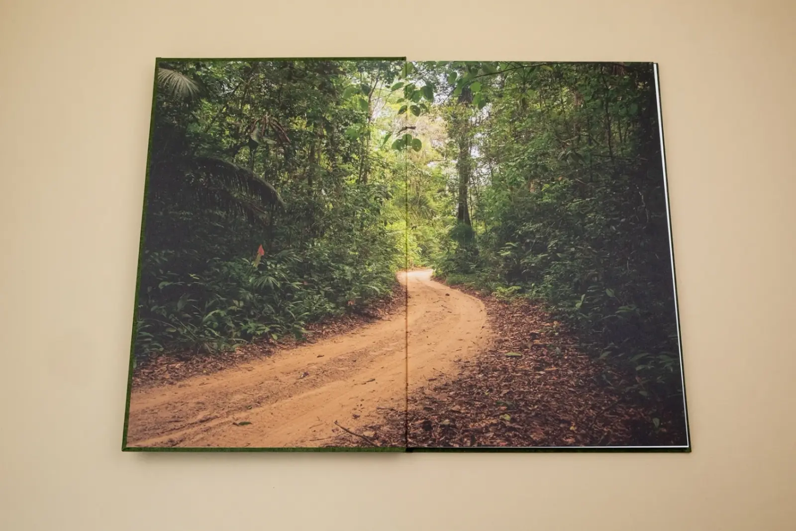 Fourteen Leaves and a Cup of Water image 2