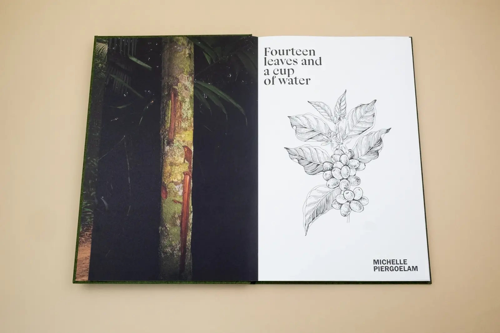 Fourteen Leaves and a Cup of Water image 7