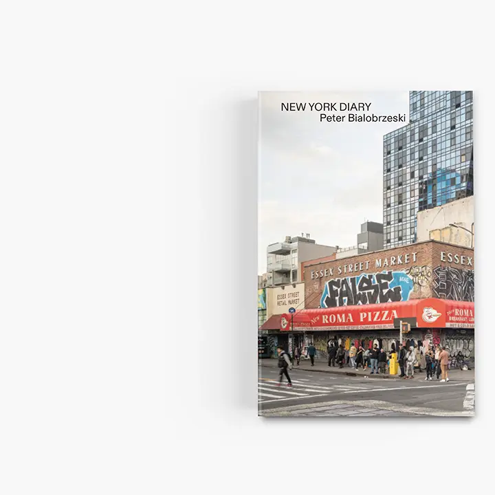 New York Diary image 2