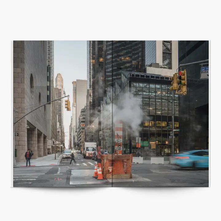 New York Diary image 3