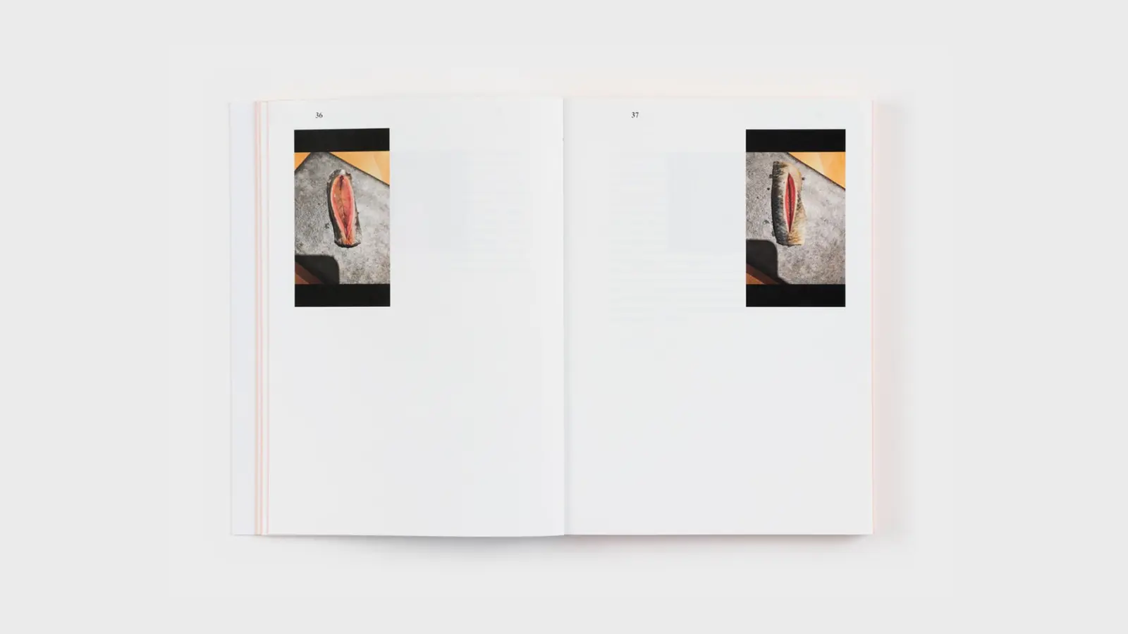 Tokyo Private (Un Roman Photo) image 6