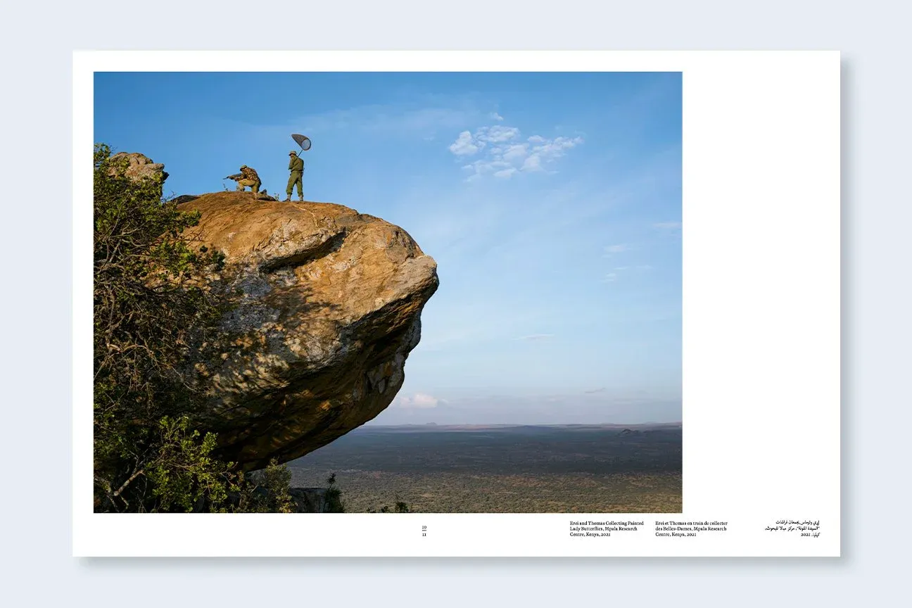 Constant Bloom image 2