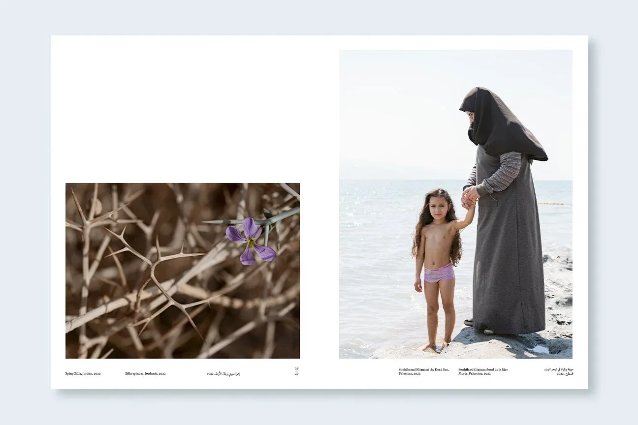 Constant Bloom image 5