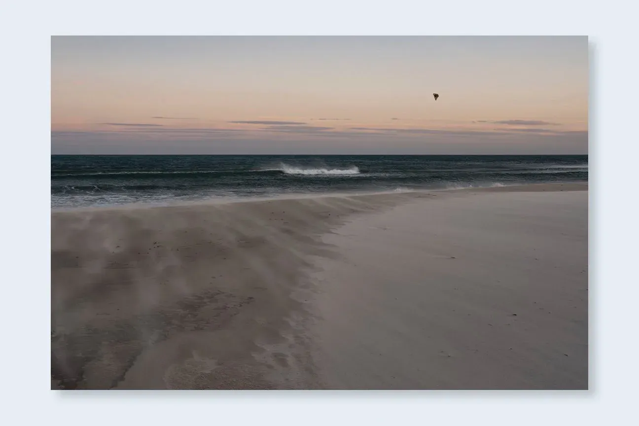 Constant Bloom image 6