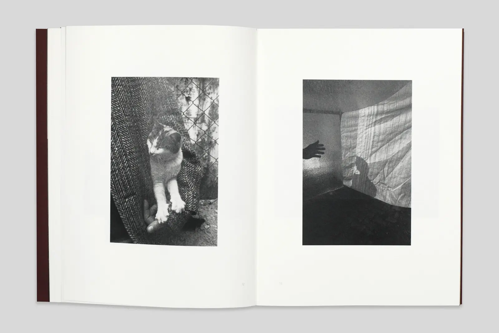 06 02 23 04:17 image 4