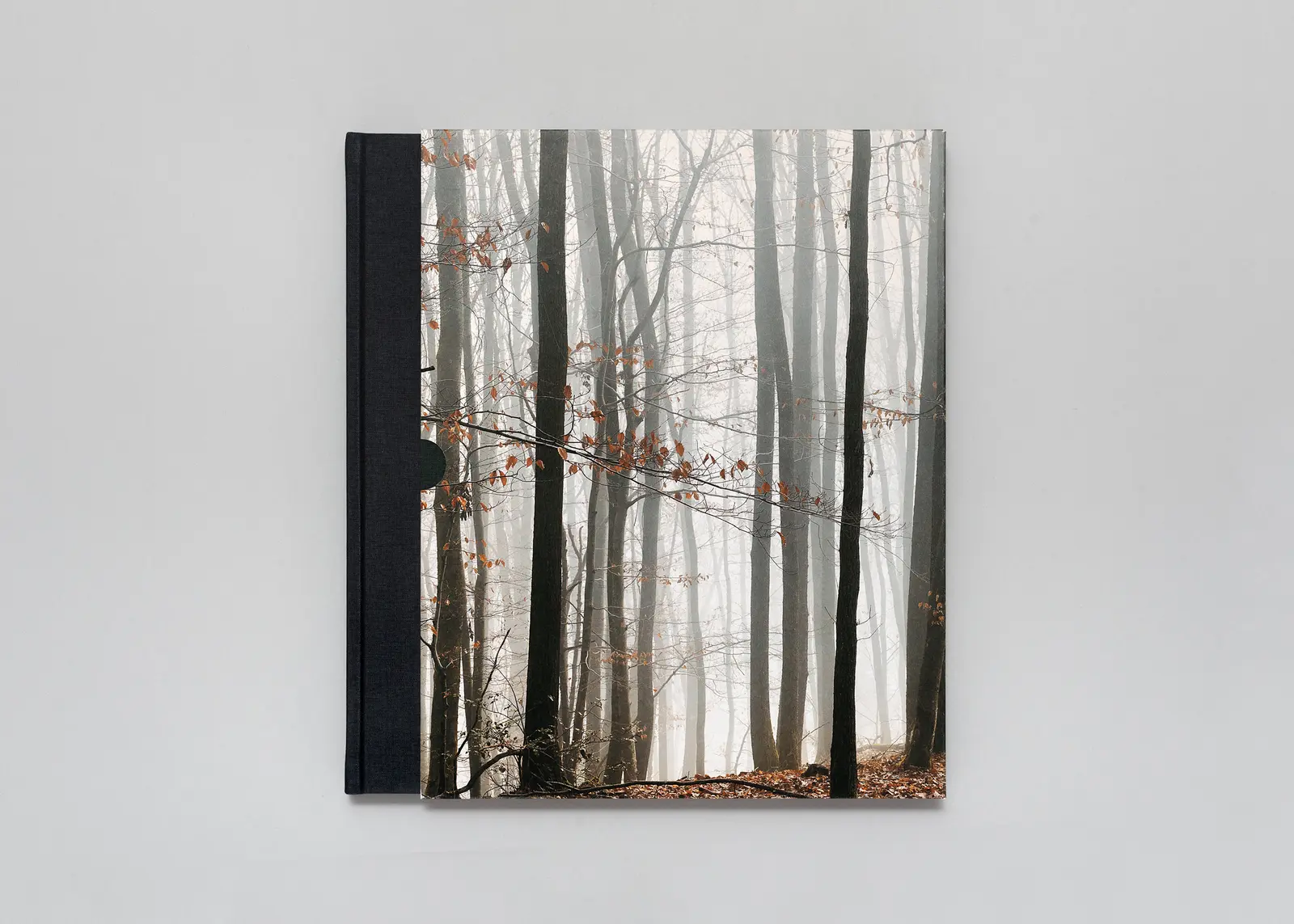 The Encounter image 2