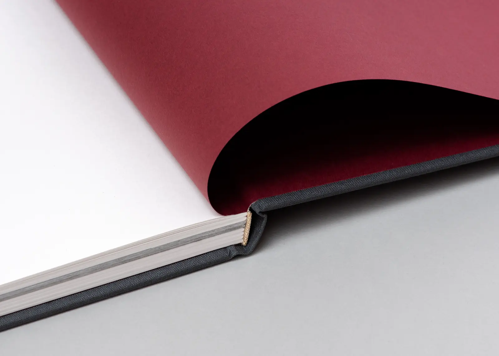 The Encounter image 5