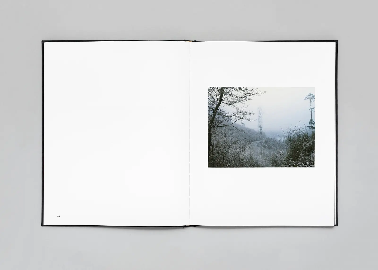 The Encounter image 7