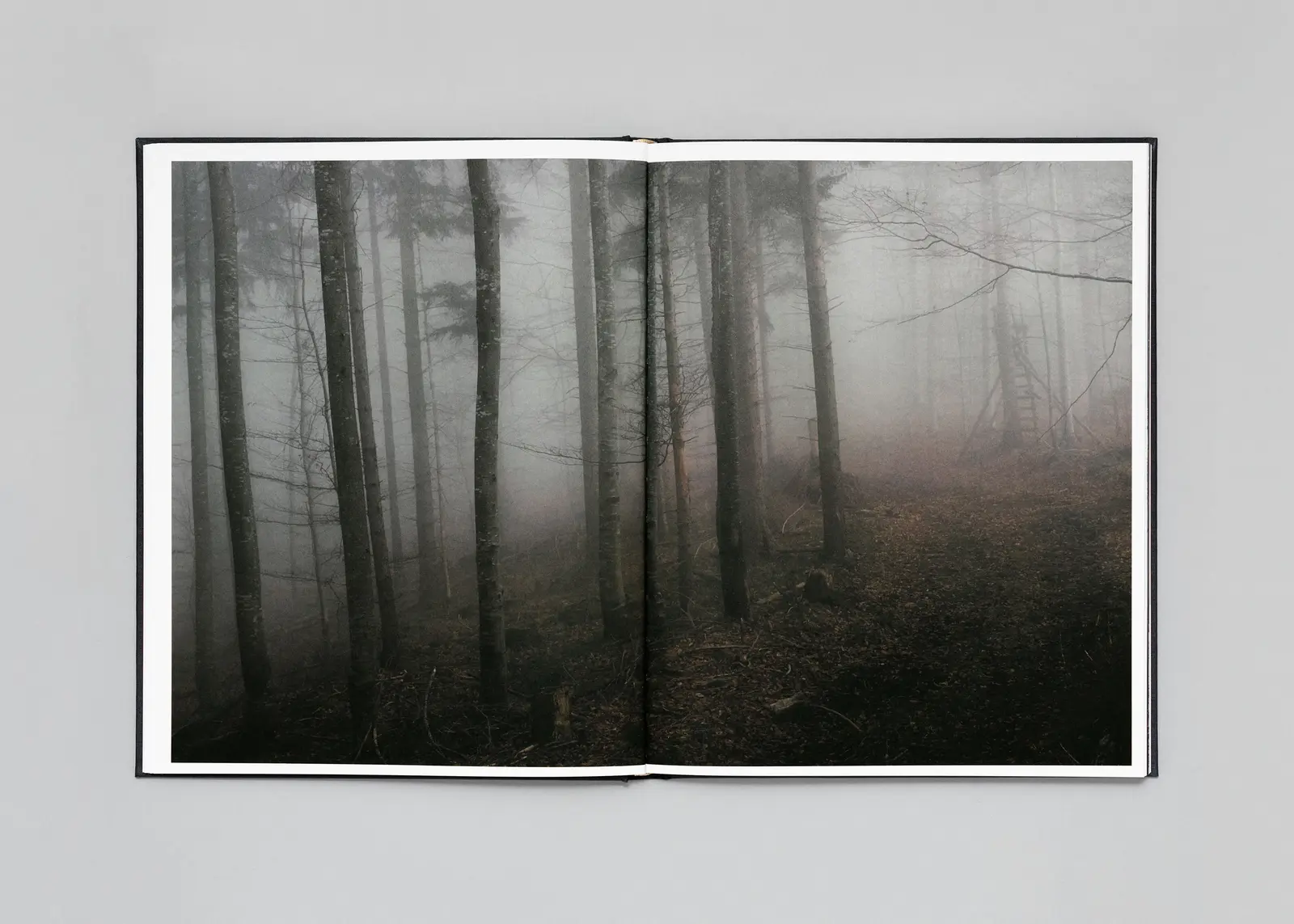 The Encounter image 8