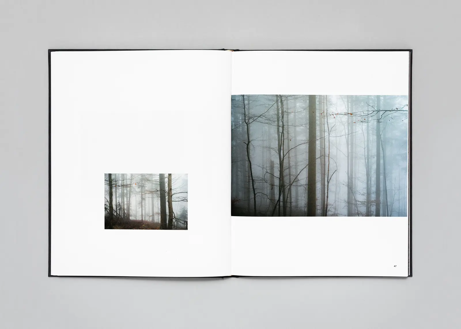 The Encounter image 11