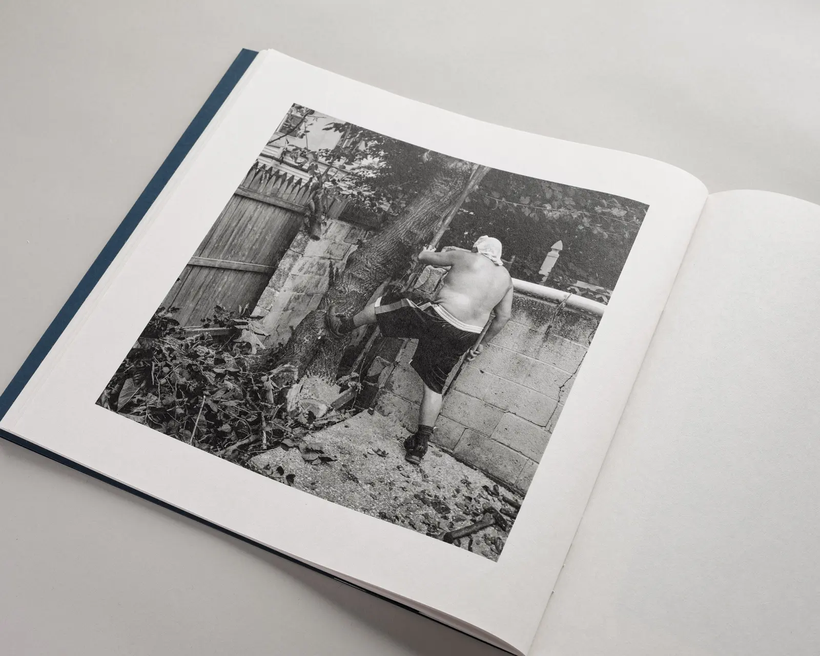 Family Tree Removal image 4