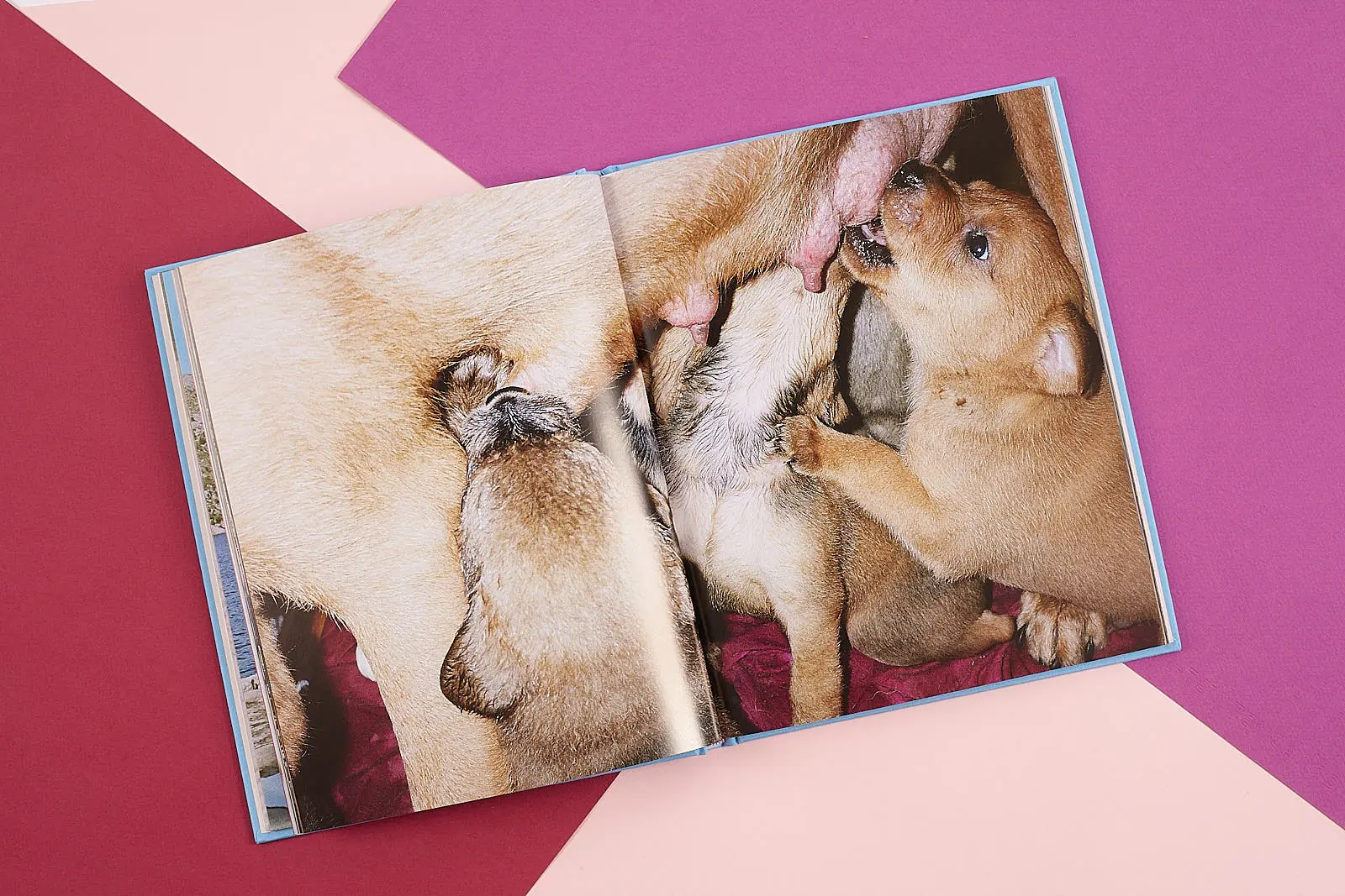 Down, Down, Baby image 8