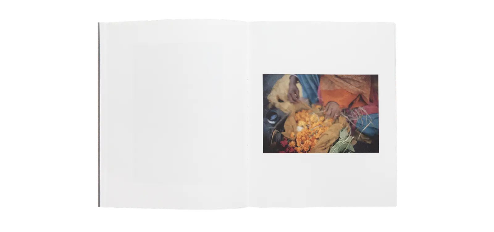 The Smell of India image 6