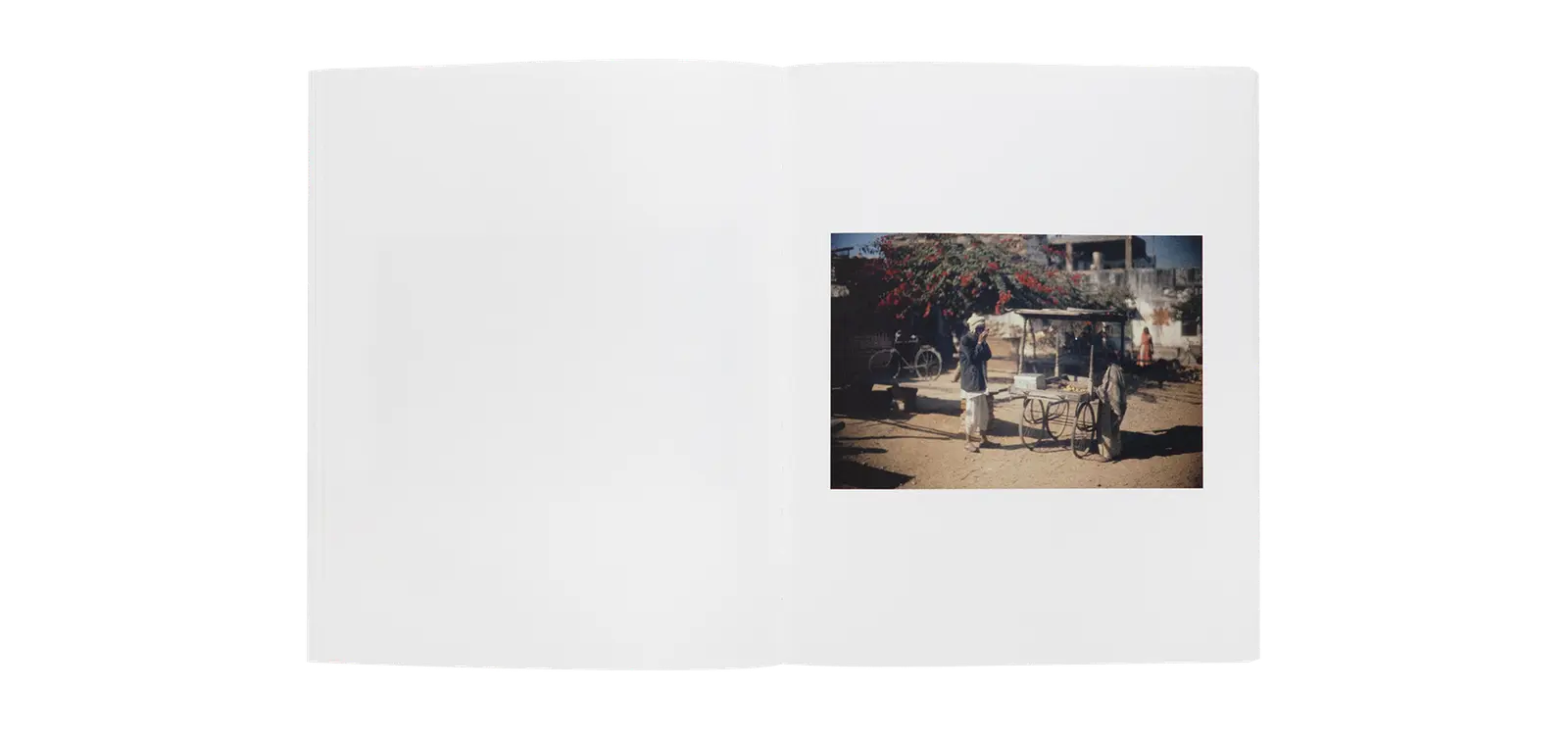 The Smell of India image 7