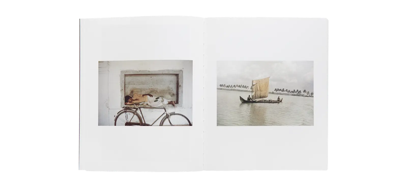 The Smell of India image 8