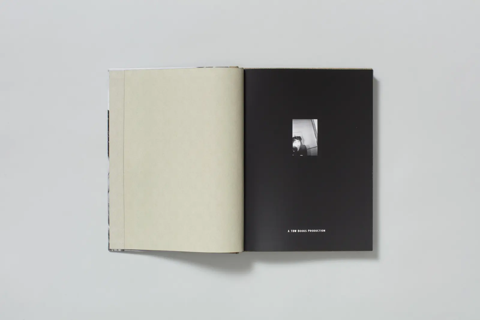 Swan Moon's Swan Moon image 2