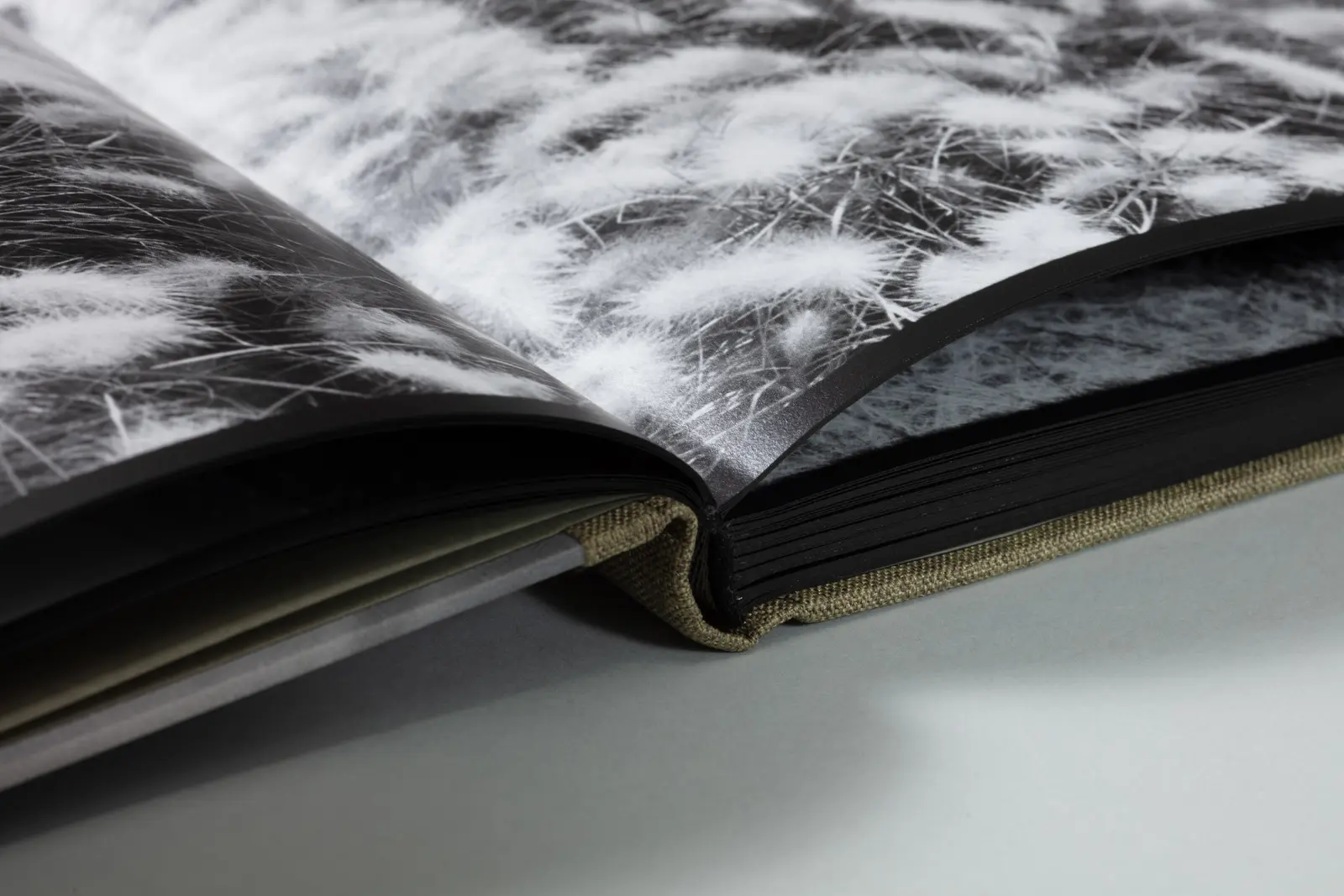 Swan Moon's Swan Moon image 4