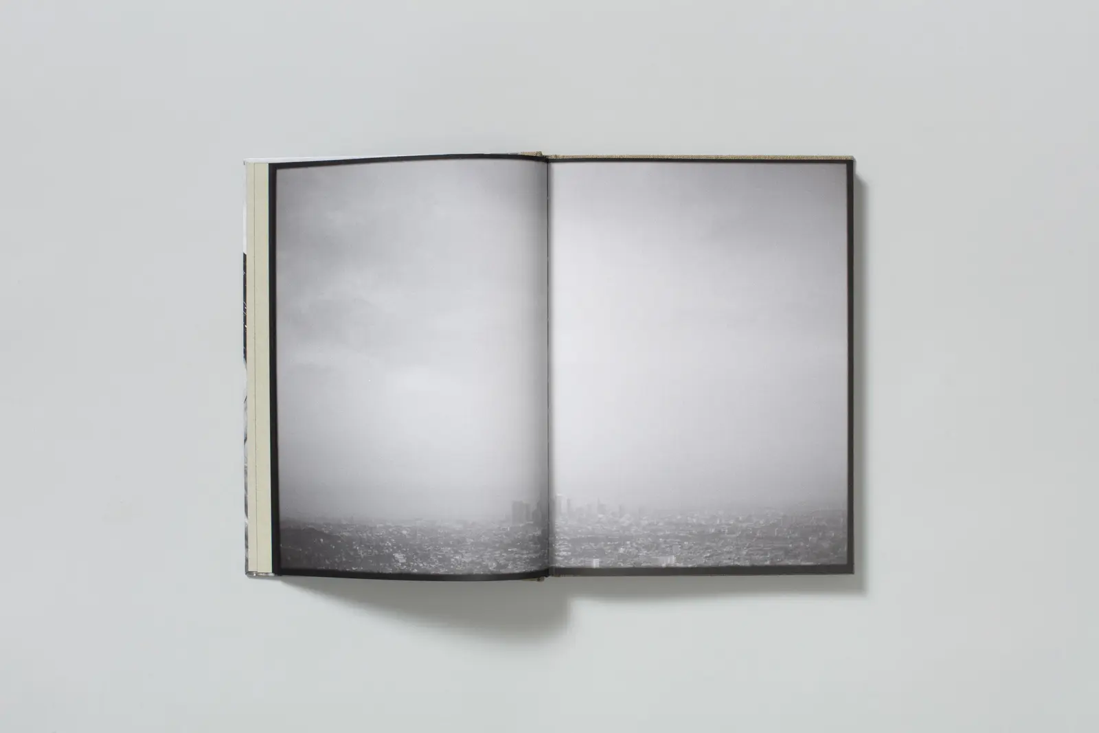 Swan Moon's Swan Moon image 5