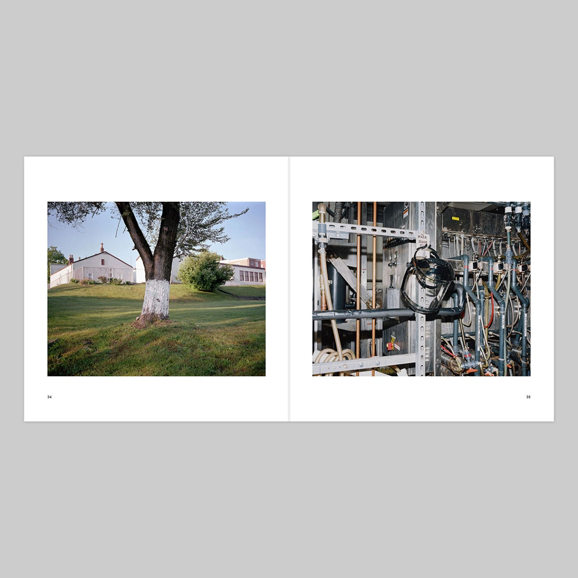 Everything Is Narrative image 5