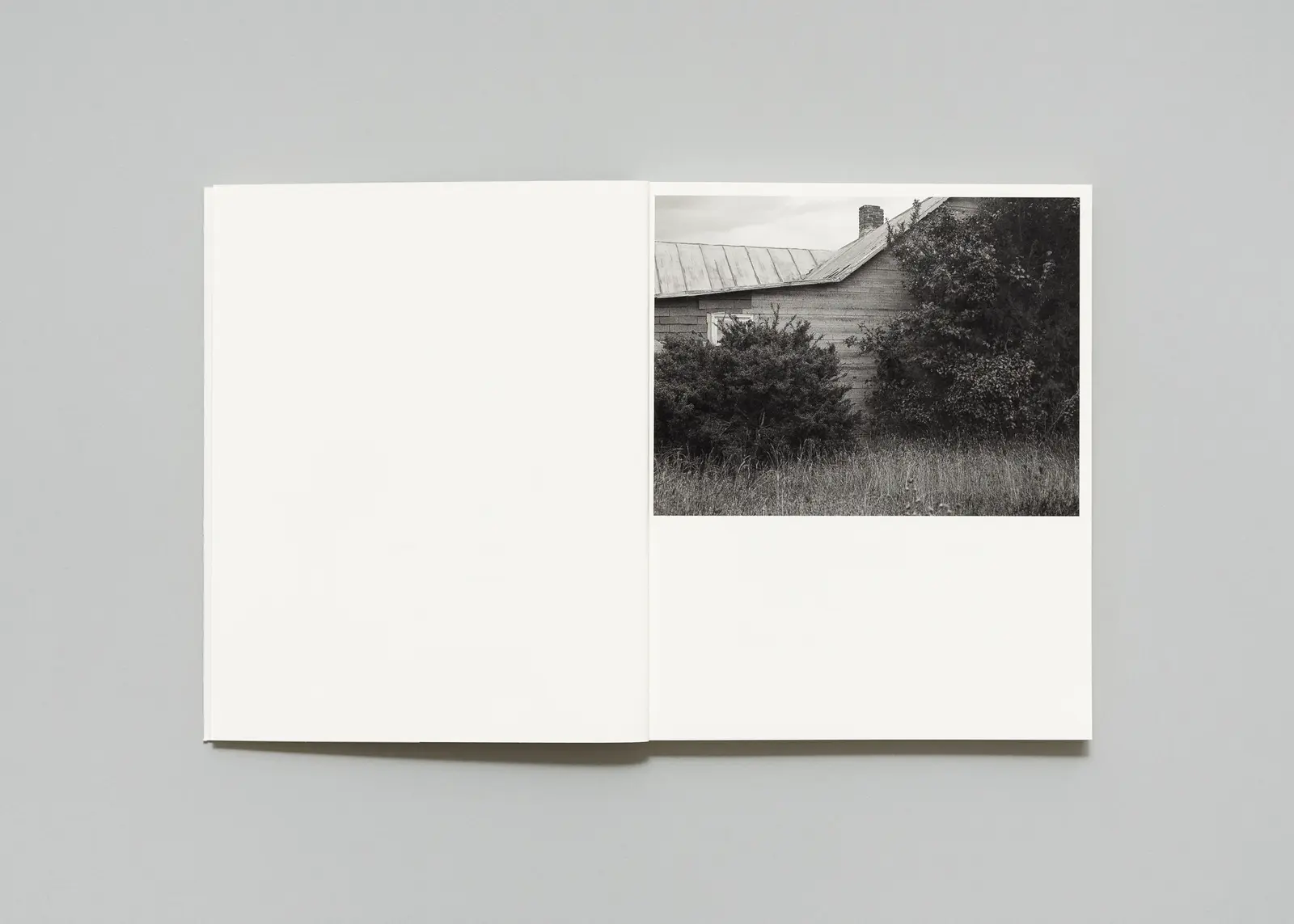 The Long Shadow image 4