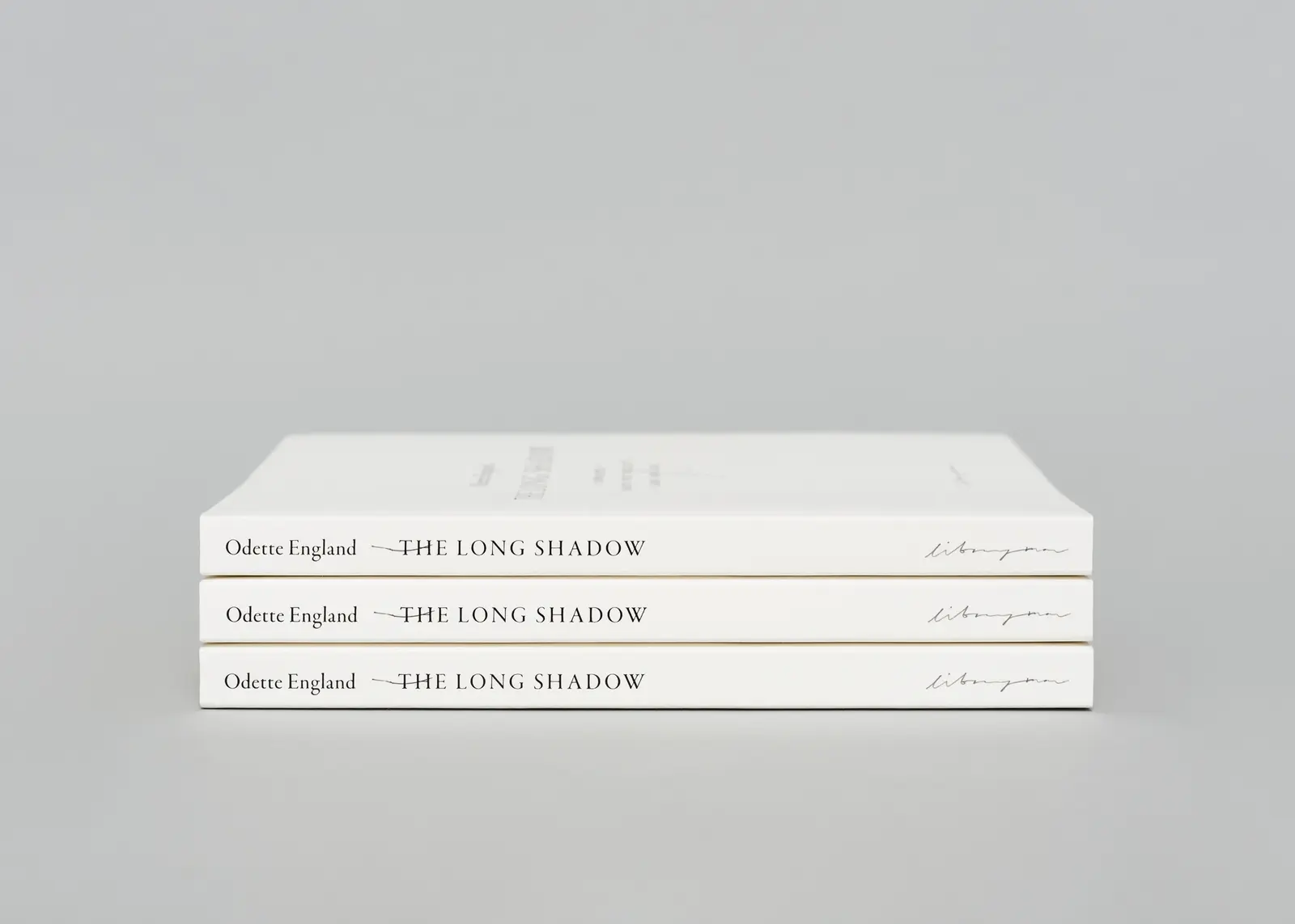 The Long Shadow image 5