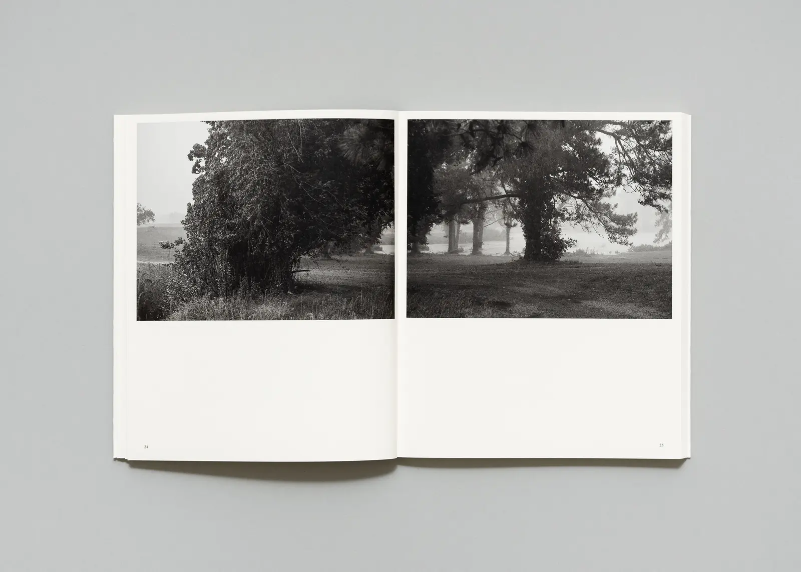 The Long Shadow image 6