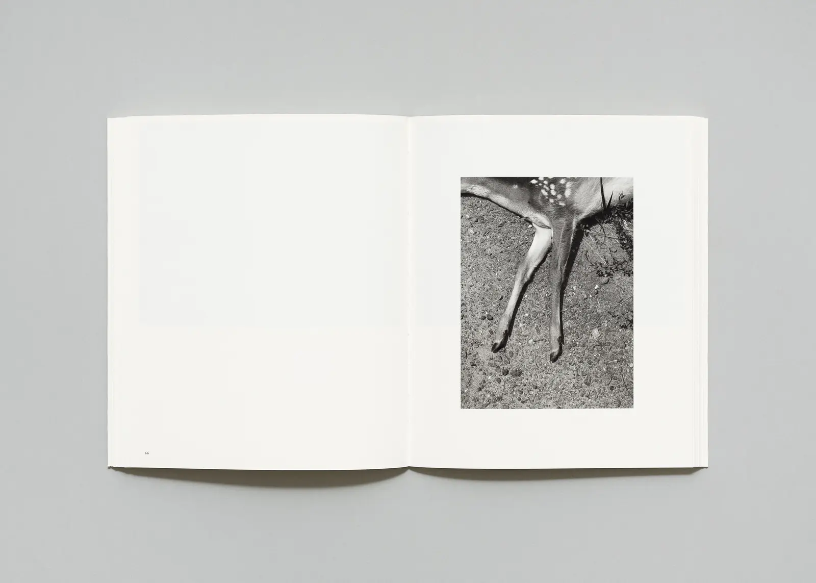 The Long Shadow image 9