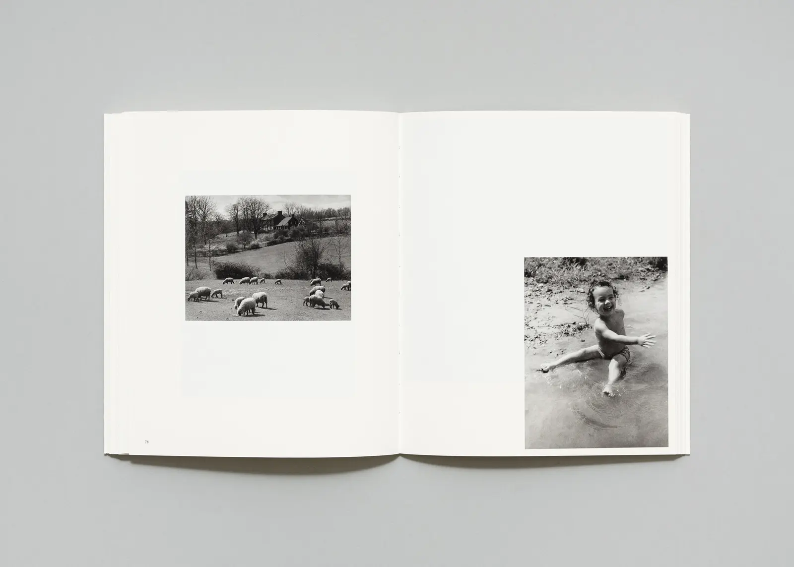 The Long Shadow image 11